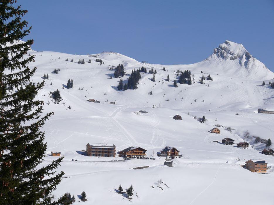 Hotel-Gasthof Zimba Damuels Esterno foto